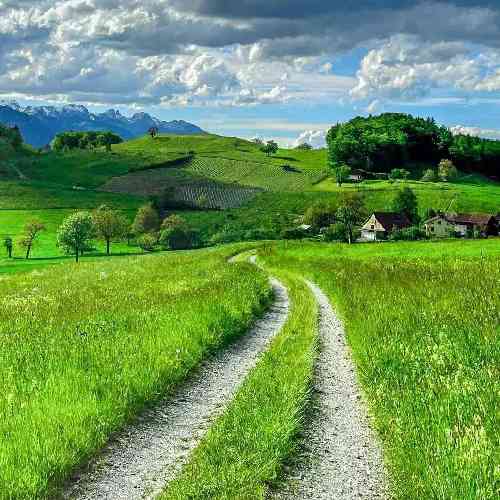 پیمان یعقوبی دنیای نامرد شکسته بال و پر من نزار منت بکشم